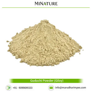 Exportador de polvo Guduchi de calidad superior - Product Image 2