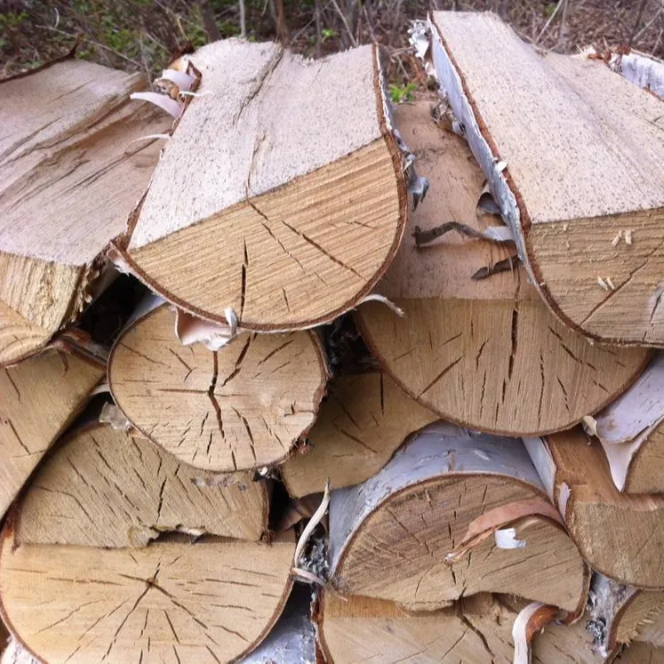 Droog Beuken/Eiken Brandhout Op Pallets Uit Duitsland