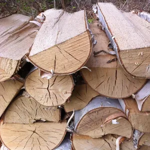 Trockene Buche/Eiche Brennholz auf Paletten aus Deutschland