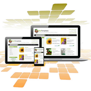 Shopping Cart Website Design & Development Company in India | Award Winning eCommerce Website Development Services by Webroot - Product Image 6