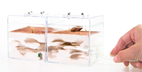 Empire of Ants Classic Wilderness Medium Desert Formicarium Ant Farm Eco-Friendly Plastic All Seasons