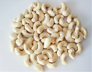 Noyau de noix de cajou exporté WW320 Prix le moins cher de haute qualité du Vietnam + 84 86 521 6698 - Product Image 4