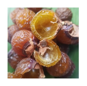 ถั่วสบู่อินทรีย์ที่มีคุณภาพสูงสบู่ถั่วส่งออกในกลุ่ม - Product Image 1