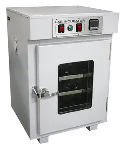 Incubator Bacteriological Model RSTI-108 Series Digital electric Incubator Radical manufacturer