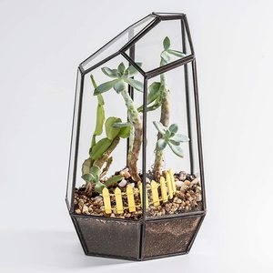 Irregular de cristal de vidrio hecho a mano plantas de aire titular de mesa en miniatura contenedor plantador de caja - Product Image 1