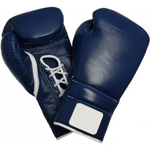 High Quality boxing Gloves Boxing Gear Best Training Champions Gloves - Product Image 1