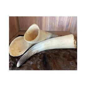 Par de Cuernos de Búfalo Naturales Antiguos, Par de Cuernos de Vaca, Superventas, Decoración para Hoteles, Mejor Diseño para Producto Popular - Product Image 4