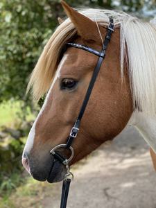 Têtière en cuir islandais de haute qualité, respirante, durable, légère, avec ferrures en laiton, personnalisable, Rub International pour cheval - Product Image 3