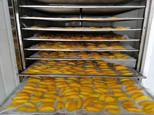 Gói Trader Joes Dried Fruit Soft & Juicy Mango Vietnam 2021 - Product Image 4