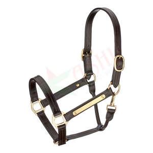 Licol de cheval en cuir rembourré de style occidental personnalisable concevez votre propre collier de tête pour l'équitation - Product Image 1