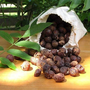 สบู่ออร์แกนิคจากเมล็ดสบู่เบอร์รี่ ราคาดีที่สุดในเวียดนาม - Product Image 4