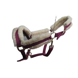 Meilleure qualité Style anglais cheval licou fait à la main Durable Nylon doux néoprène rembourrage confortable personnalisable couleur taille - Product Image 3