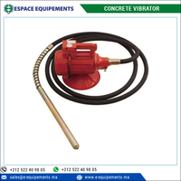 50Hz Frequenz und 2480 U/min Rotationsgeschwindigkeit Elektrischer Benzin-Betonvibrator für Bauanwendungen