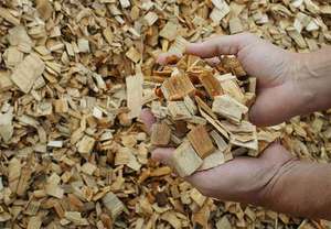 Chip de madera selectivo, Acacia para hacer papel, el mejor precio en línea, la mejor oferta - Product Image 3