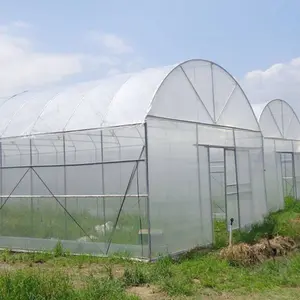 Skyplant المجلفن الزراعة الدفيئة شفافة في الهواء الطلق البستنة سقيفة