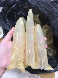 Fish Maw / Rich in Collagen Dried Seafood / Fish Maw Roll Natural Sun Dried From VietNam - Product Image 5