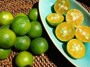 100% POLVO DE KUMQUAT ORGÁNICO/POLVO DE CALAMANSI PARA BEBIDA Y FRUTA COSMÉTICA EN POLVO - Product Image 3