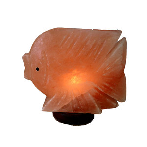 Lampe de sel en forme de poisson sculptée en matériau organique avec lumière LED et base en bois - Sian Enterprises - Product Image 5