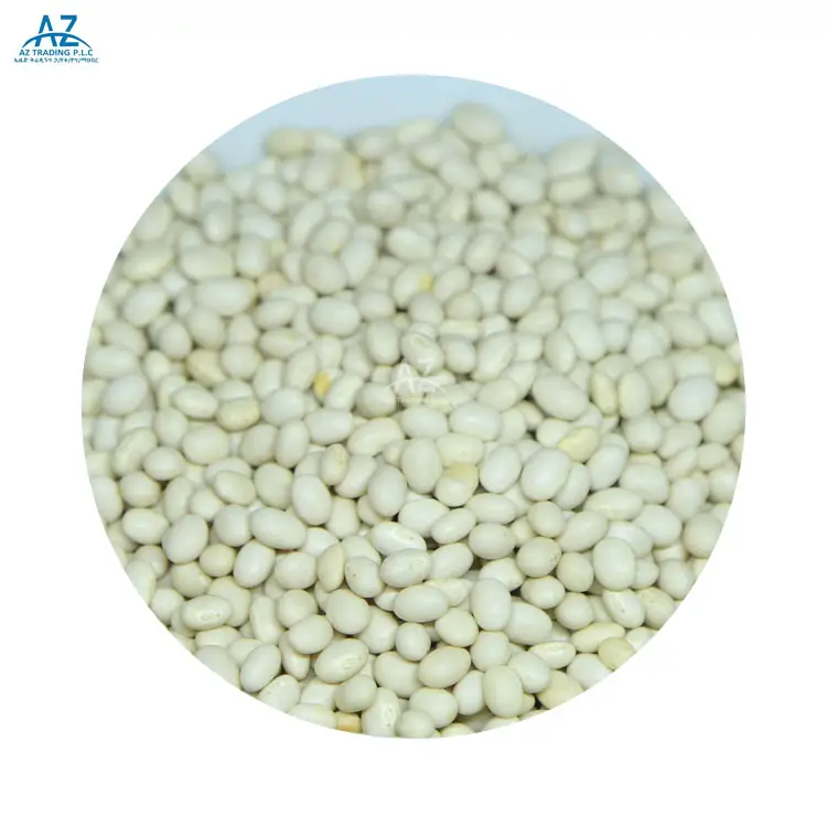 白エンドウ豆白インゲン豆缶詰の長い形の乾燥したエチオピア豆のための卸売海軍非GMO新しい収穫作物2021