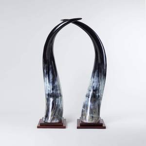 Corne de vache de haute qualité, centre de table décoratif d'intérieur, taille personnalisée et support en bois avec vente - Product Image 2