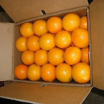 Sweet Fresh mandarin orange