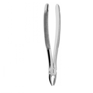 Incisor y pinza de diente de Lobo, 7 ss - Product Image 4