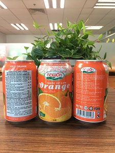 500มิลลิลิตร NAWON กระป๋องน้ำทิพย์สีส้มธรรมชาติ - Product Image 5