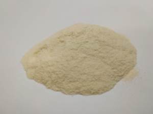 Agar Agar en Polvo de Vietnam para Exportación +99 GOLD DATA - Product Image 4