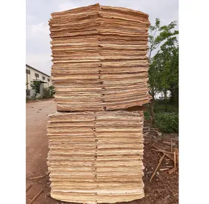 عالية الجودة قشرة داخلية من خشب الأوكاليبوتوس 1 الحاويات 20HQ صنع في فيتنام معبأة بواسطة منصات خشبية