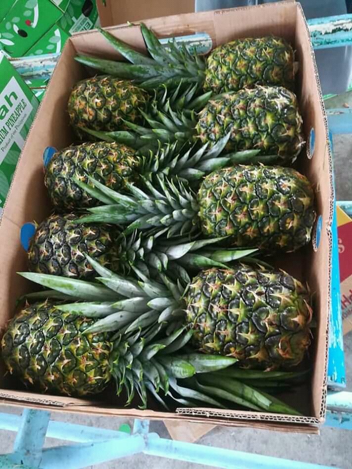 MD2 PINEAPPLE Vietnam 10 Kg GRADE 1 Natural Sweet FRESH YELLOW FLESH COMMON Cultivation 10-12 Cm with HACCP Certification