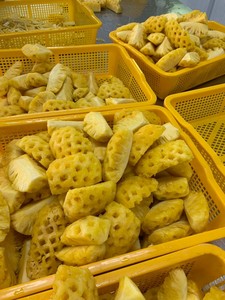 สับปะรดหั่นบางๆแช่แข็งมะม่วงสีเหลืองหวานเวลาบรรจุ1กก. 5กก.-w.s 0084989322607 - Product Image 5