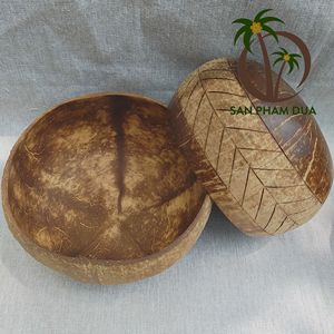 Manufacturer Wholesale Eco-friendly Coconut Shell Bowl with <b>Wooden</b> Spoon Set Custom Logo Design for Camping <b>compostable</b> durable - Product Image 2