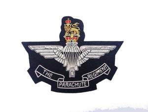 Écussons brodés 3D Royal Lion avec fil doré, badges tactiques personnalisés à coudre, badges en tissu, épingle à repasser, aimant, technique émaillée, OEM Wing - Product Image 4