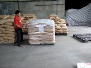 Amidon de marante de la meilleure qualité au Vietnam, meilleur prix - Product Image 4