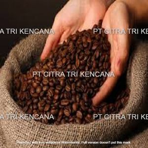 COFFEE FRUIT CHARCOAL FOR NEW YEAR 2021 NATURAL BBQ CHARCOAL LUMP BARBECUE CHARCOAL HARD WOOD BEST FOR Bilbao Spain Europe - Product Image 3