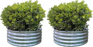 Galvanized Garden Bed Elevated Planter <b>for</b> Vegetable Flower <b>Herb</b> <b>for</b> Garden Decor - Product Image 6