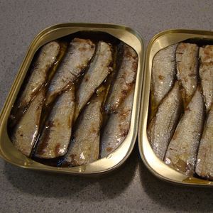 Sardinas Enlatadas en Salmuera con Partes del Cuerpo - Product Image 1
