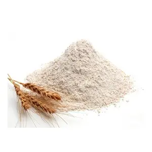 Farine de blé entier de qualité supérieure, prix de gros, blé blanc biologique