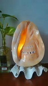 Lámpara de conchas marinas para decoración del hogar, lámpara de artesanía hecha de conchas marinas al mejor precio - Product Image 2