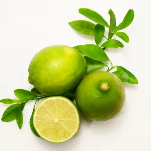 Aceite esencial de Lima prensado en frío orgánico puro de 100ml 100% aceite puro para reafirmar la piel pérdida de peso Italia GMP certificado OEM Peel Raw - Product Image 1