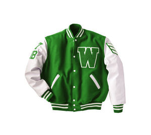 Veste universitaire personnalisée OEM pour hommes Manteau en toile de grande taille avec patchs de broderie Street Style Baseball High Street Winter Use - Product Image 1