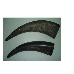 Pointes de corne de buffle noire à vendre Fabricant de pointes de corne de buffle et pointe de corne naturelle polie à la main - Product Image 6