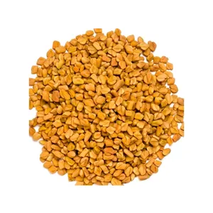 Indian Exporter of Premium Quality Natural Organic Fenugreek Seeds | wholesale high quality fenugreek seeds herb & spice