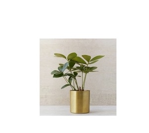 Florero decorativo de latón para el hogar, florero moderno de Latón chapado, en oferta - Product Image 6