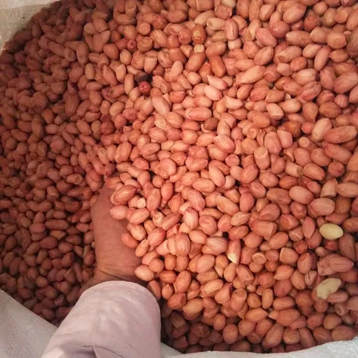 150 г соленый жареный арахис для приготовления пищи оптом арахис из Судана