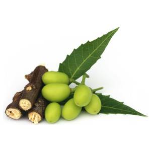 ผงและก้อนสะเดาออร์แกนิกสำหรับปรับปรุงดินให้มีสารอาหารในดินช่วยให้พืชเจริญเติบโตได้อย่างต่อเนื่อง - Product Image 4