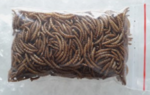 หนอนเมลแบบแห้ง/ตัวอ่อน/วันหยุดสุดพิเศษ - Product Image 3
