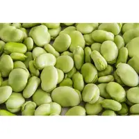 dry lima beans with high quality for sale in low price