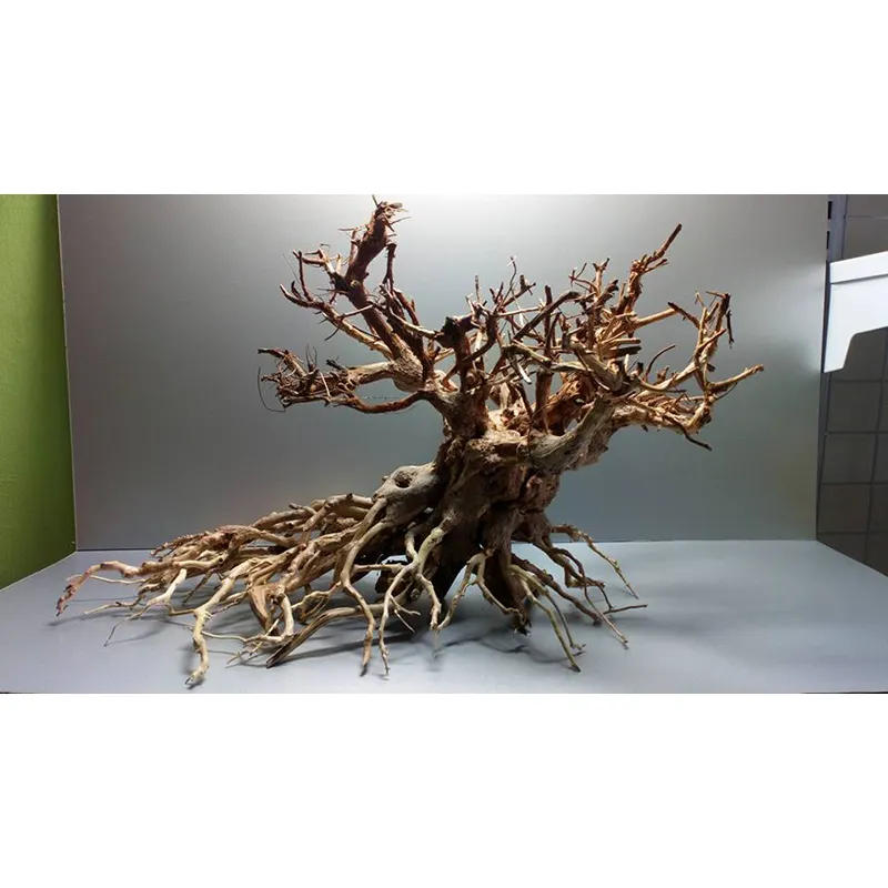 Barang baru Bonsai Driftwood untuk tangki ikan dekorasi akuarium dengan harga terjangkau WhatsApp + 84 961005832