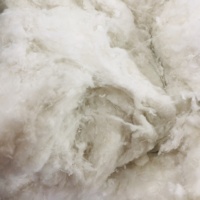 Déchets de fibres de polyester/fibres discontinues de polyester recyclées (prix négociable)-Mme Mira